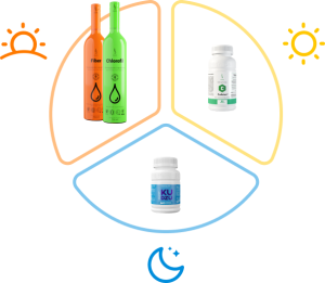 Zestaw DETOX SET BASIC