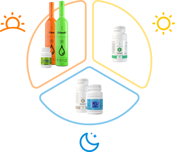 DETOX SET PLUS
